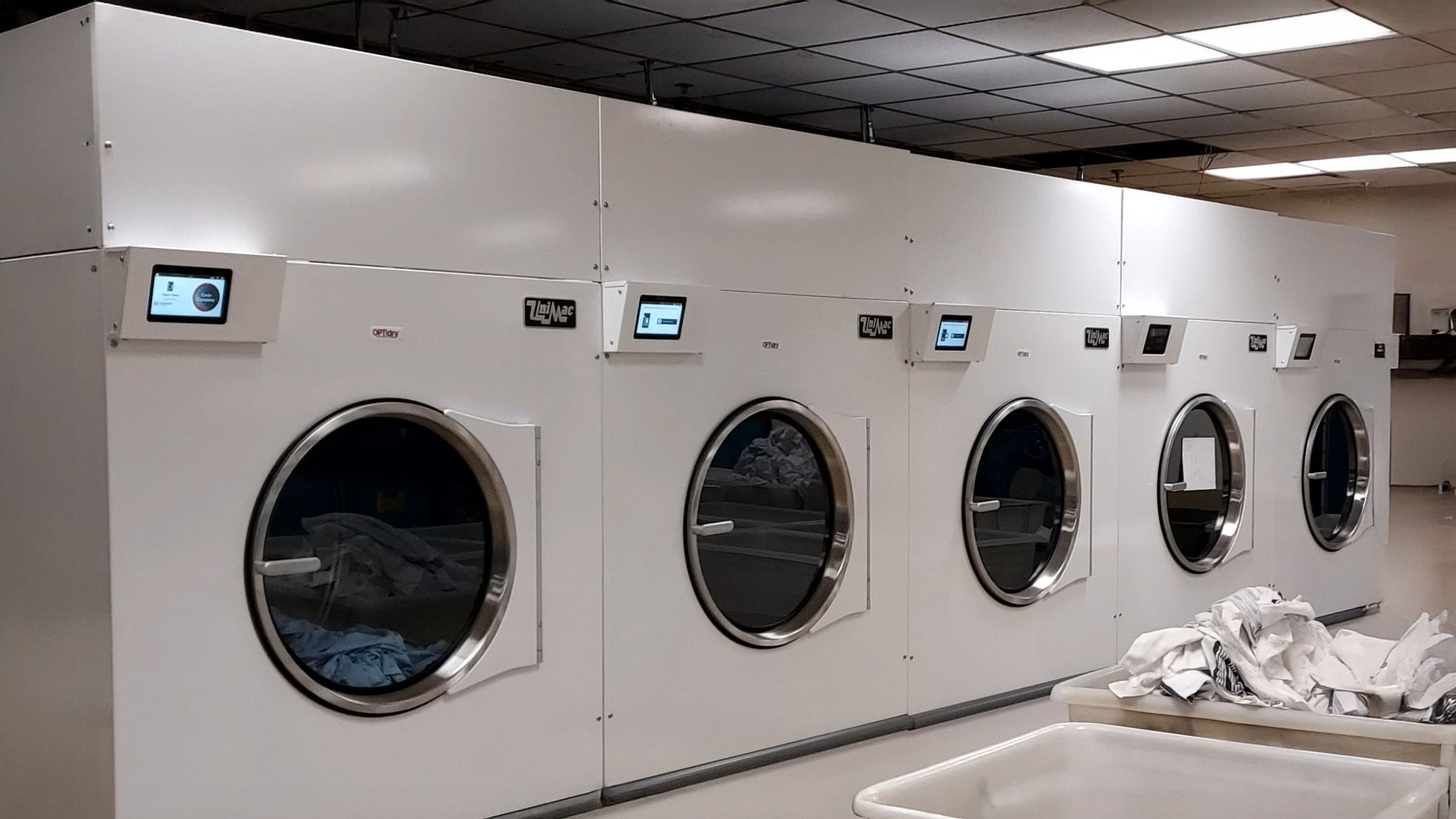 Row of commercial dryers in operation